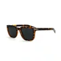Óculos de Sol DaMatta Floripa Polarizado UV400 - Tartaruga