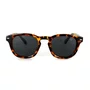 Óculos de Sol DaMatta Rio Polarizado UV400 - Tartaruga
